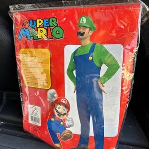 Super Mario Luigi Costume